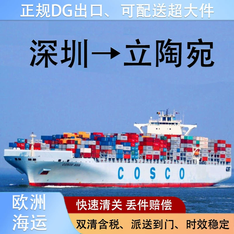 Литиевая батарея Шэньчжэнь Морские перевозки в Литву FCL/LCL Клипперс двойной четкостью с налогом на дверь CIF/DDP