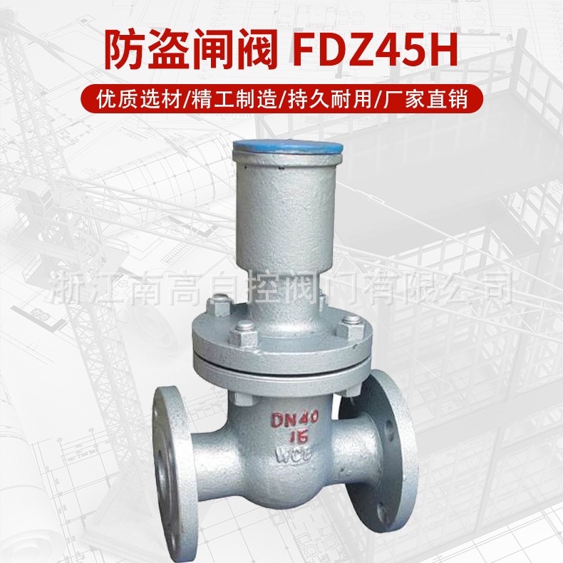 浙江南高供应FDZ45H-16C防盗闸阀DN250 铸钢防盗闸阀 硬密封