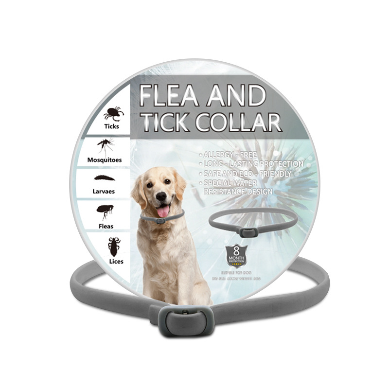 O1CN017CiNkd21O8uzGVuyh_!!2200697546974-0-cib.jpg?__r__=1660046191182