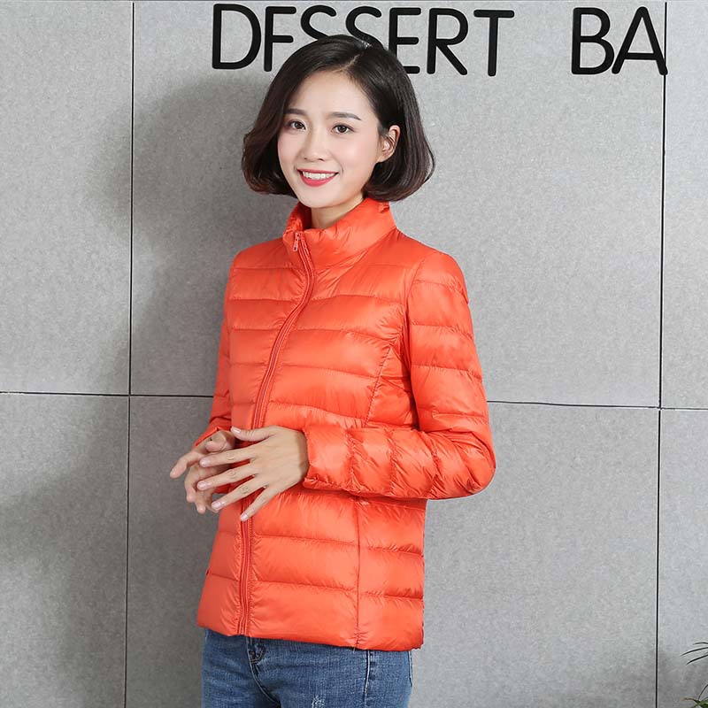 스탠드 칼라 오렌지