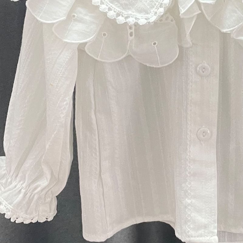 Camisa de estilo occidental para niñas Otoño Nueva camisa de manga larga para niños estilo coreano top de bebé flor bordada primavera y otoño moda