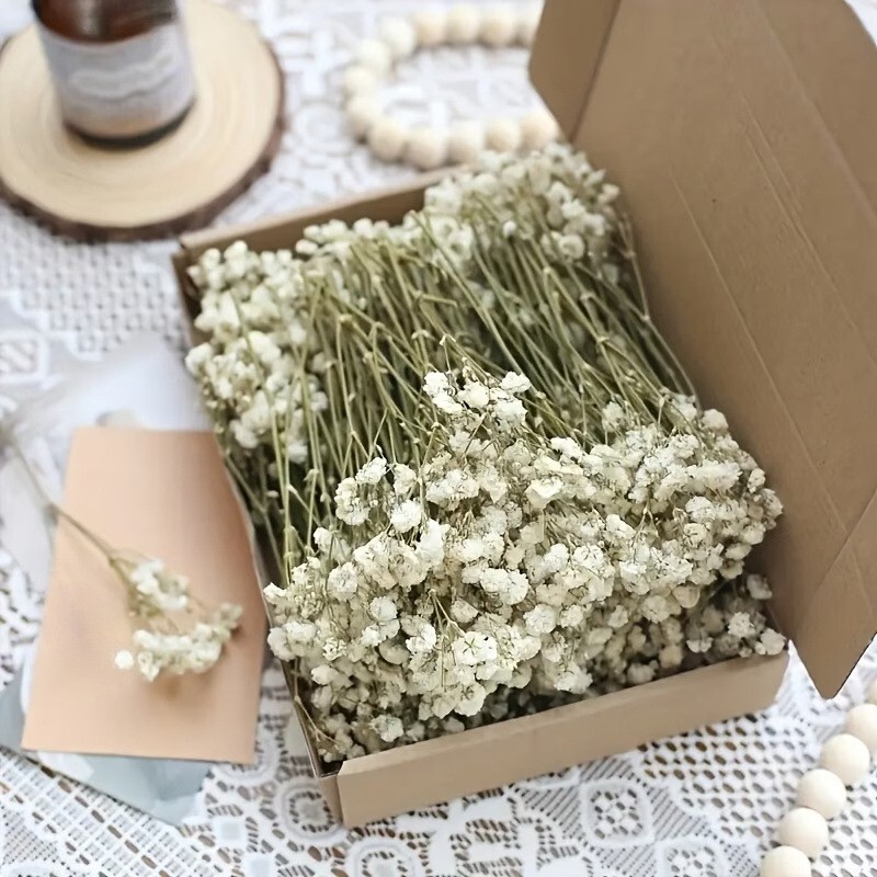 Cross-Border Bulk Mini Everlasting Baby's Breath DIY Materials, Dried Baby's Breath Flowers, Preserved Flowers, Direct Shipment from the Factory