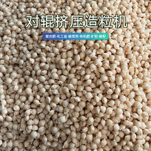 球状融雪剂设备生产 化工盐对辊造粒机厂家 高压干法压球机