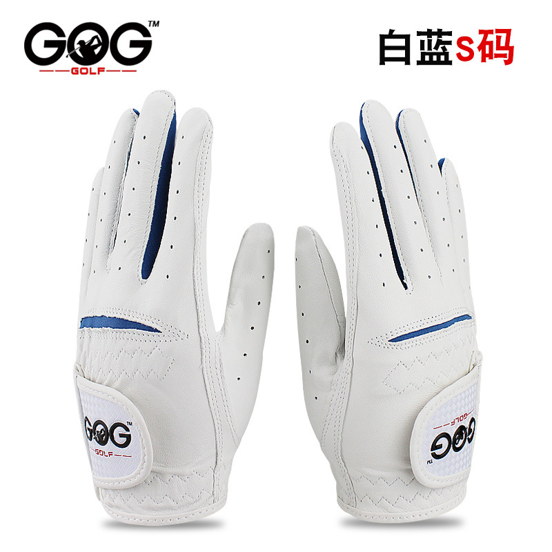 흰색과 파란색 S 코드 쌍