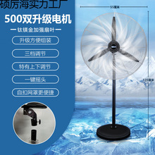 ���I��L�ȏ������ȴ��������������ţ���L�ȴ��L������