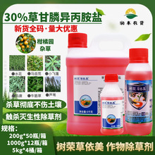 ��s������ 30%�ݸ�좮������} �ݸ��� ���و@�s�ݠ����rș���݄�