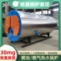 热水冷凝常压燃气锅炉