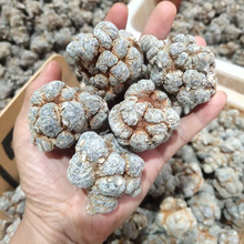 三七  云南文山精品40头30头20头16头12头滑头三七 可切片 可磨粉