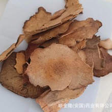 �в�ș ������ �����S�ҬF؛���l���ێ��ϸ��C�|�z�lƱ�����󃞻�