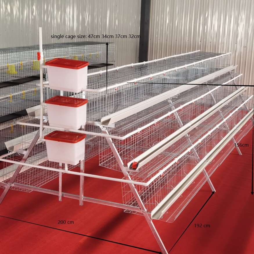 Jaula multicapa de cría automática completa de gallinas ponedoras de huevo rodante tipo escalón automático de doble lado de jaula doméstica de gallinas