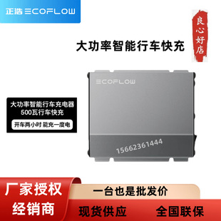 Zhenghao 500W800W Driving Fast Charging Outdoor Mobile PoWer Self-driving Car Accessories High-poWer Driving Charger