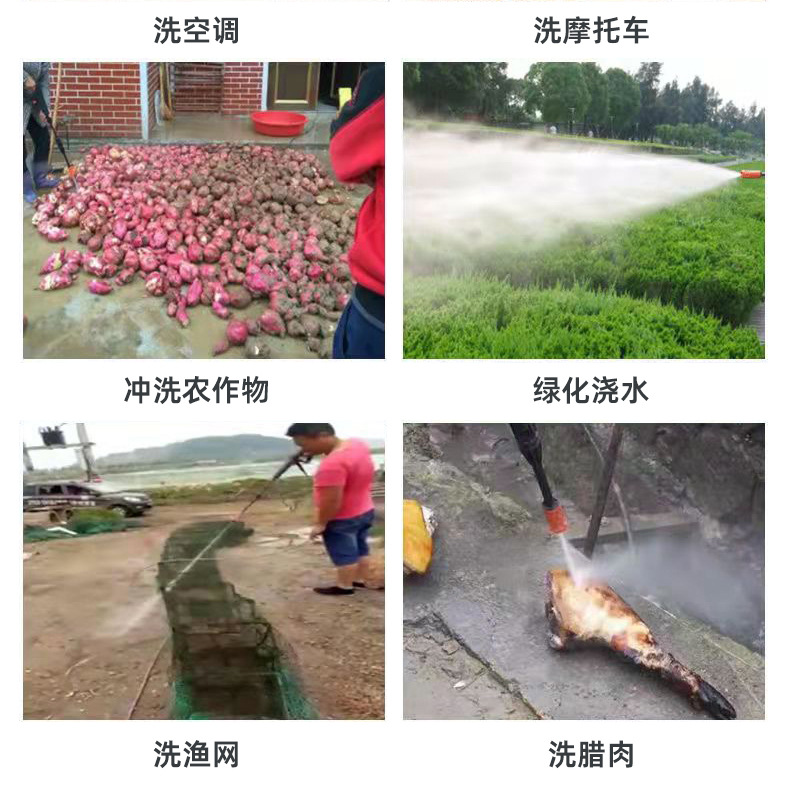 Household Small Car Washing Machine Satchel 220V High-power Car Brush Water Pump Wholesale Supply High-pressure Water Gun Cleaning Machine