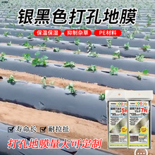 塑料保温膜农用黑薄膜带孔地膜除草保温种植膜免打孔亚马逊