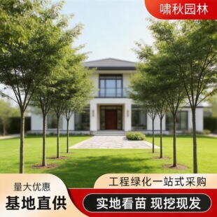 �Θ�e��·߅���ͥԺ�����ͺ������L���䅲���G���е���t�Θ���