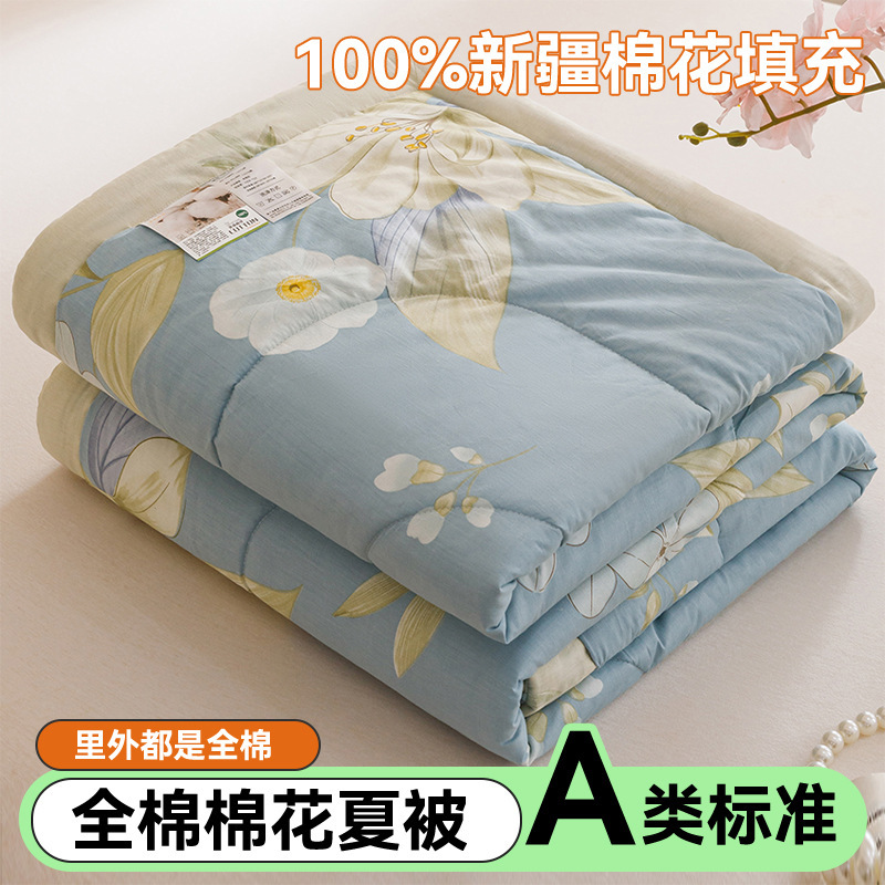 Edredón de aire acondicionado lavable de algodón de clase A, núcleo de edredón de algodón de Xinjiang, edredón de algodón impreso de verano, edredón de regalo doble