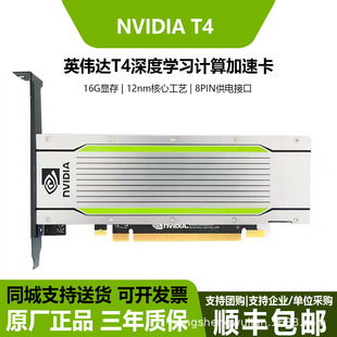 �m��Ӣ���_NVIDIA Tesla T4 16G�@��AI������ȌW��GPU�\����ٿ�