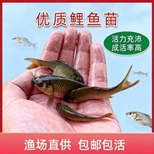 ��Ʒ�N���~�罨���S���~��������ˮ�Bֳ���~���N�����a�~�����