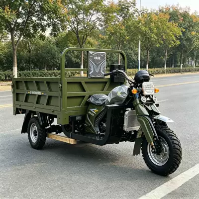 Sərnişin üçtəkərli motosikllar Passenger Vehicles with Canopy for Passenger