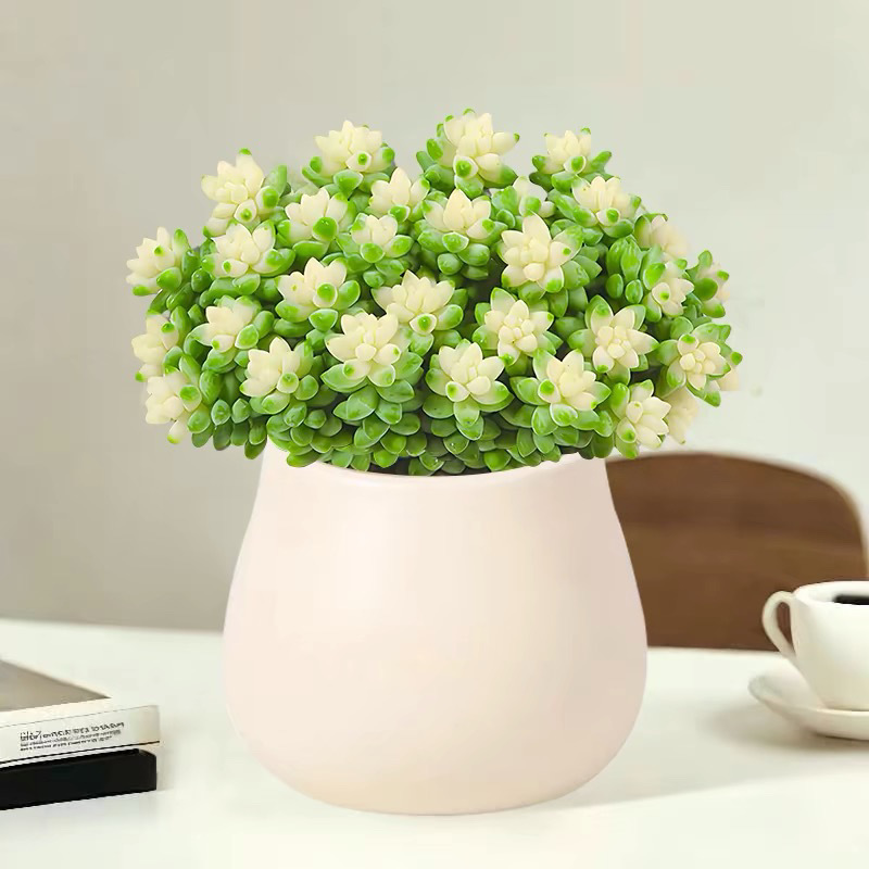 f04aad82-81c0-40fb-8d7f-1e0c1e0595eb.jpe