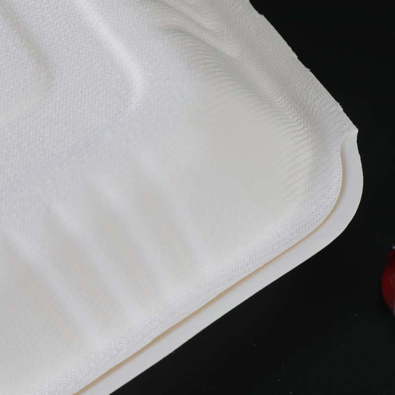 Pulpa de caña de azúcar desechable degradable caja de embalaje de platos de comedor para llevar caja de comedor de bocadillos caja de engrosamiento platos de comedor