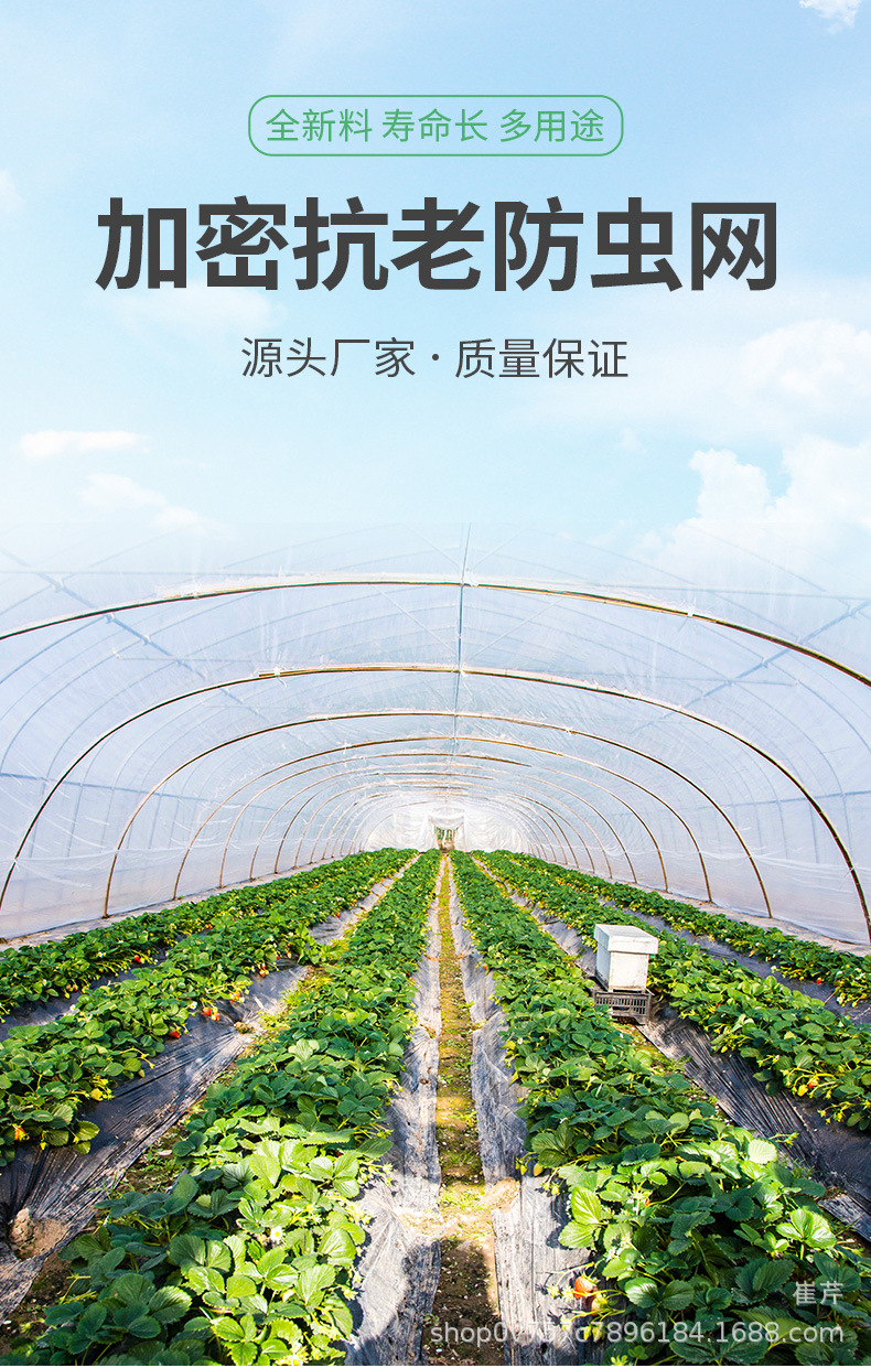防虫网详情09_01.jpg