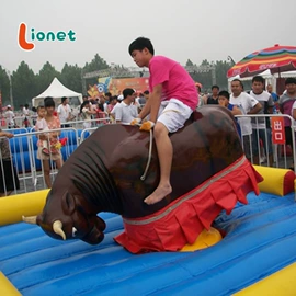 其他游艺设施;其他健身器材;大型户外游乐