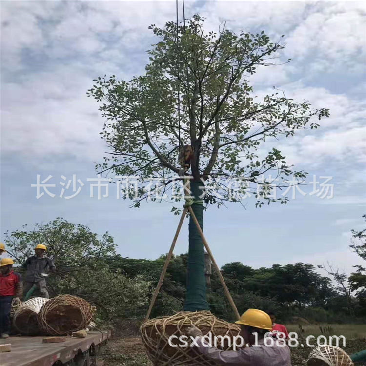 微信图片_20190816103813