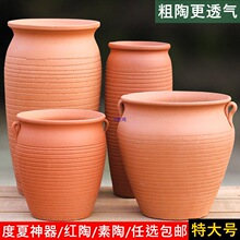 �o�Լt���؟���������ֲ�ﻨ����չ��մ�����÷����ͥԺ