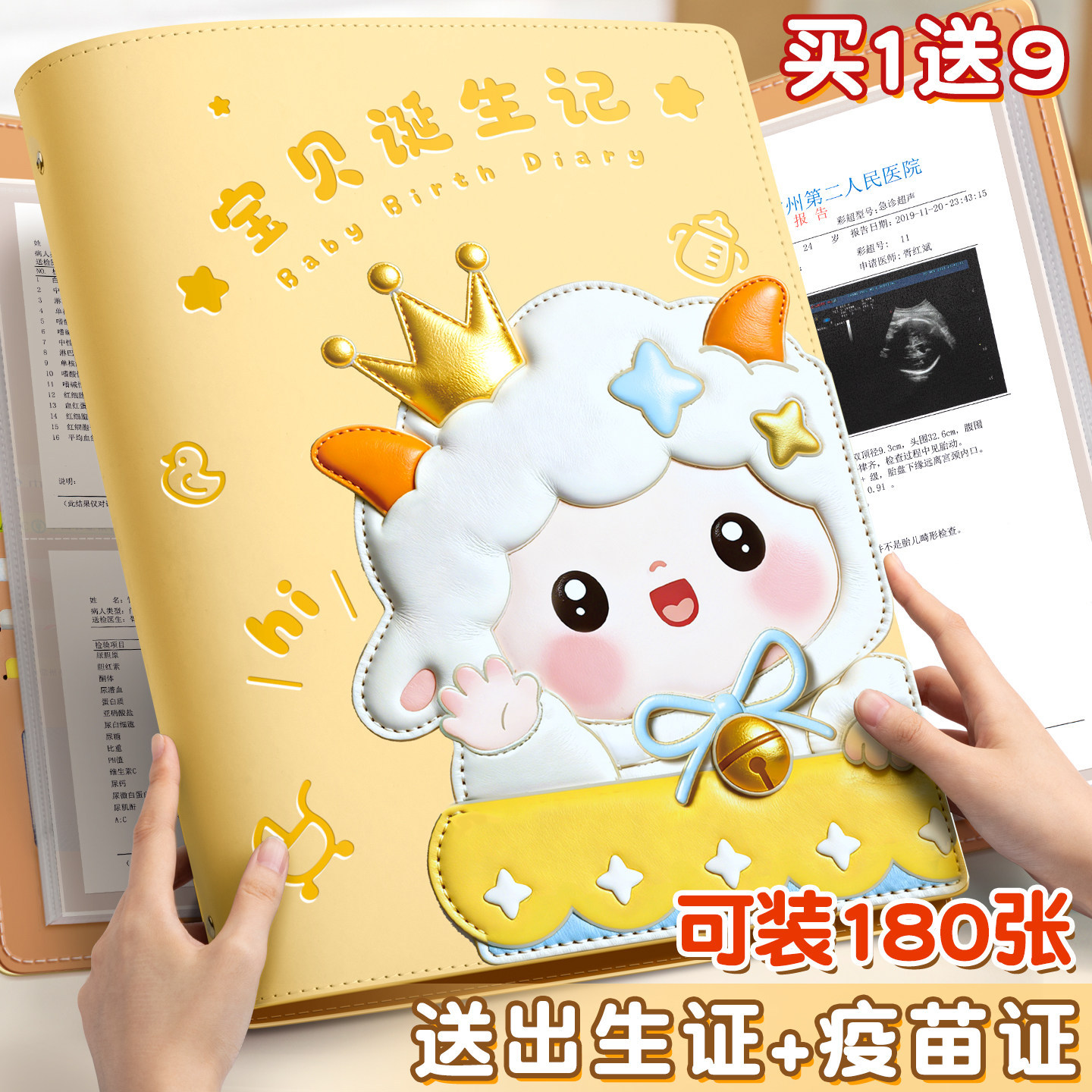 Four Seasons Pregnancy Checkup Organizer, Pregnancy Record Booklet, Document Folder, Storage Bag