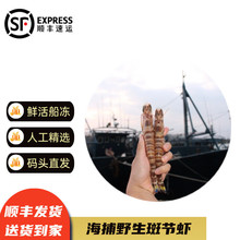 �g�؞��߹��r�ش��r���r�r����Ź��r�r�β�r������؛�^