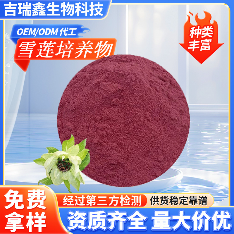 批发雪莲培养物98%保健品原料天山雪莲提取物雪莲萃取粉现货包邮