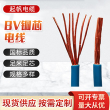 上海起帆BV电线电缆铜芯国标聚氯乙烯绝缘护套日用电器仪器电源线
