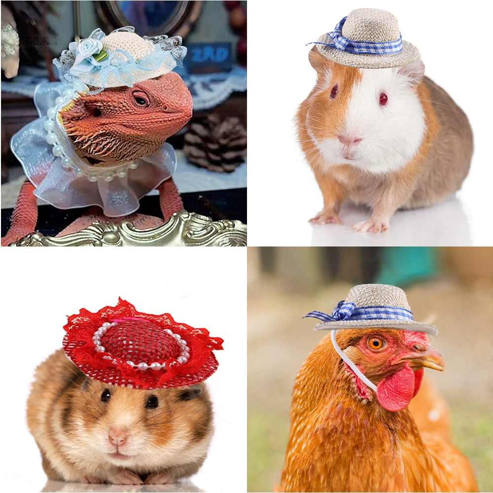 Миленькая маленькая шляпка, наряды