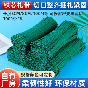 Iron Core Wire Tie, Thin Iron Wire, Soft Binding Wire, Grape Branch Binding Strip, Plastic Gardening Forest Electrical Appliance Wire Tie