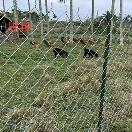 铁丝网;护栏网;养殖网