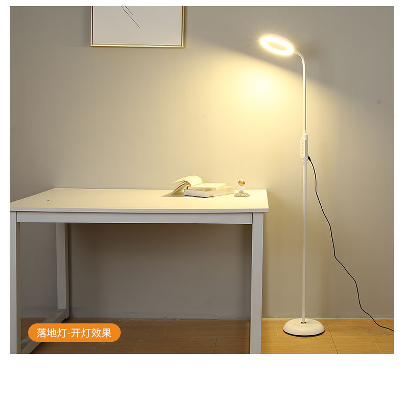5099落地灯-LED_12.jpg