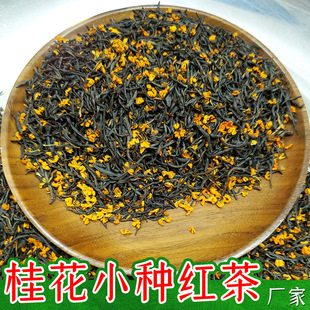 𻨼t2025³쵤СNt~ɢblt؝⻨