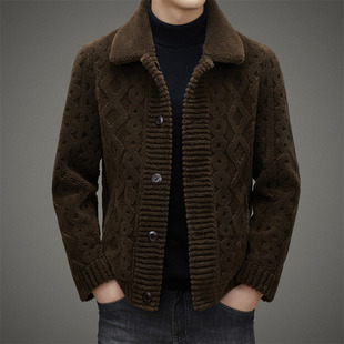 Haining New Cashmere Jacket Men's Winter Fur One-sided Fur Jacket Short Wool Jacket