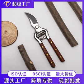 修枝剪;办公剪刀;厨用剪刀