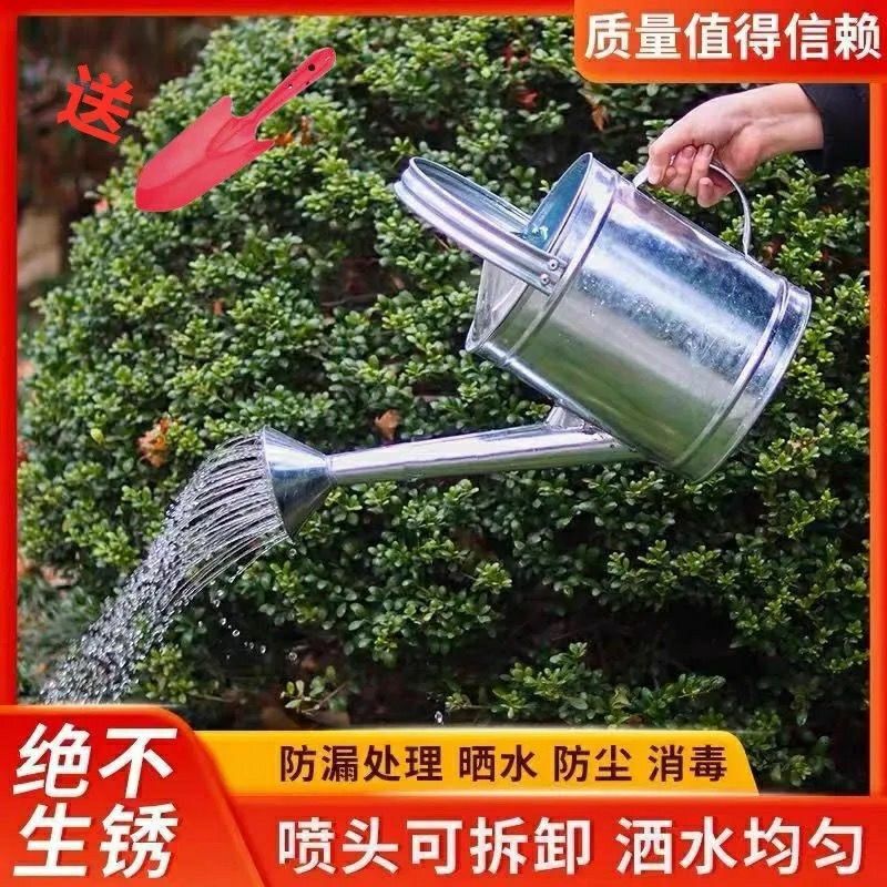 fb21183b-97ab-40e1-b43f-e6d995bb5b8a.jpe