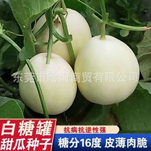 ��ϷN������Ѱ��ǹ޹ϷN�ѷN���߲˷N�����l�˷N�ӹ�˾�˷N����