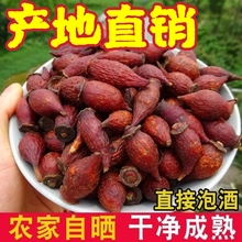 500˲Ұr؛ݾƲϽӹӢӸɴ͌