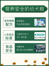 6BVQ狗粮幼犬40斤装大型犬金毛边牧阿拉斯加哈士奇全犬通用型