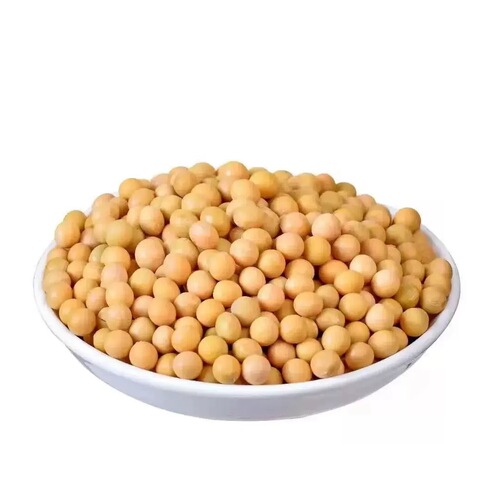 Northeast Soybeans 500g Fresh Farm Goods, Plump Beans, Multiple Sizes for Making Soy Milk