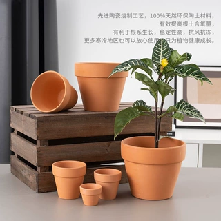 特价清仓红陶土花盆陶瓷国际盆透气绿植多肉植物兰花老式泥瓦盆