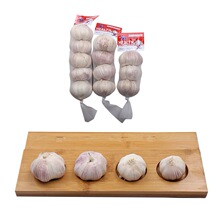 基地种植自产自销大蒜源头厂家鲜蒜各种包装大蒜国际认证大量现货