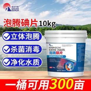 ���Aǧ�����v��Ƭˮ�a�BֳС���r�~����Ƥ��β����ˮ�w�۾Sͪ��