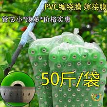 ?PVCp@ĤĤСĤ޽ĤϱĤ늾Ĥl