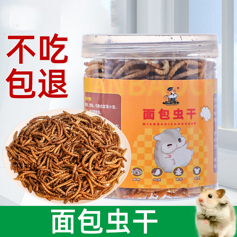 Small hamster food snacks bread worm dried high protein Golden Bear sugar glider hedgehog pet nutrition feed food