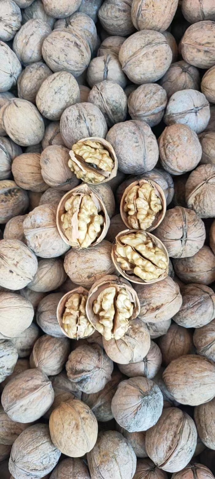 微信图片_20230206131622